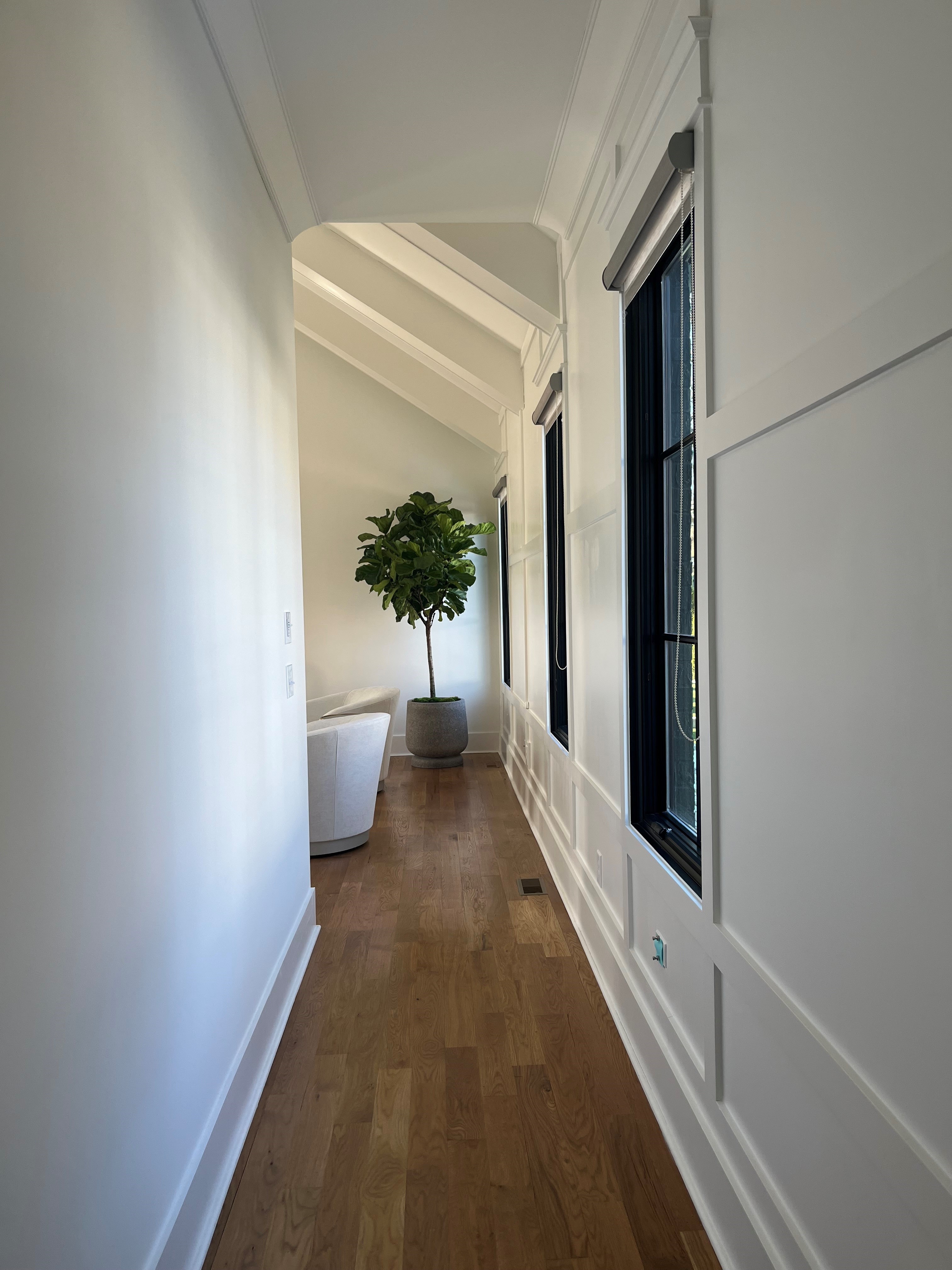 A bright hallway with white walls, featuring a green potted plant adding a touch of nature to the space