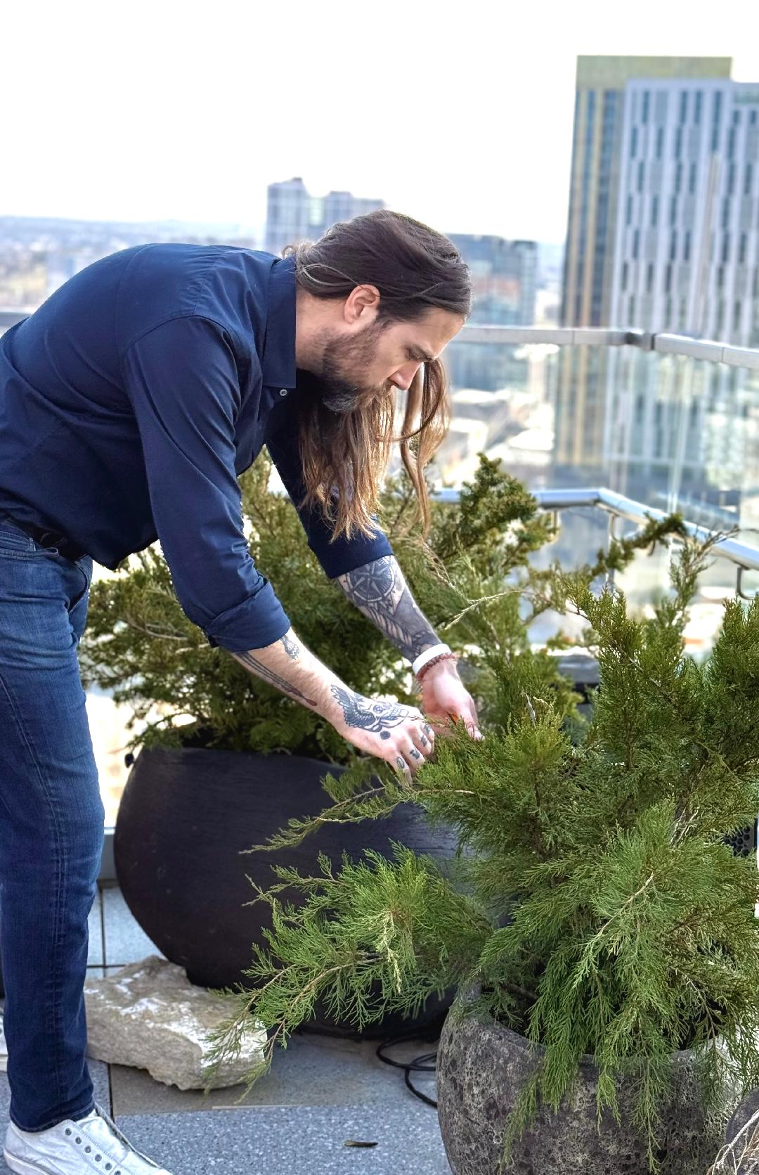 Chuck Feltner pruning junipers on a rooftop deck in downtown Nashville
