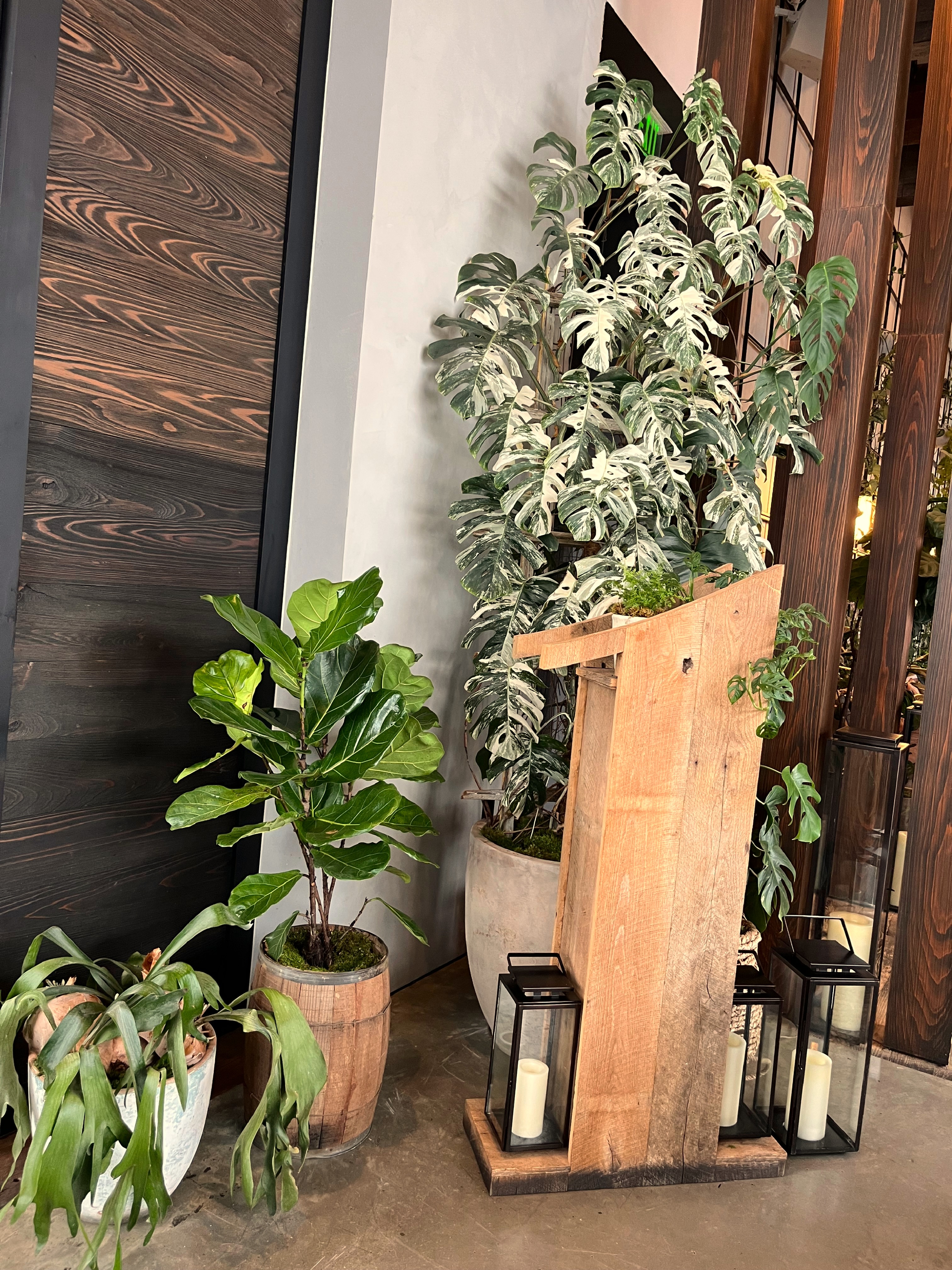 Greenery installations Nashville