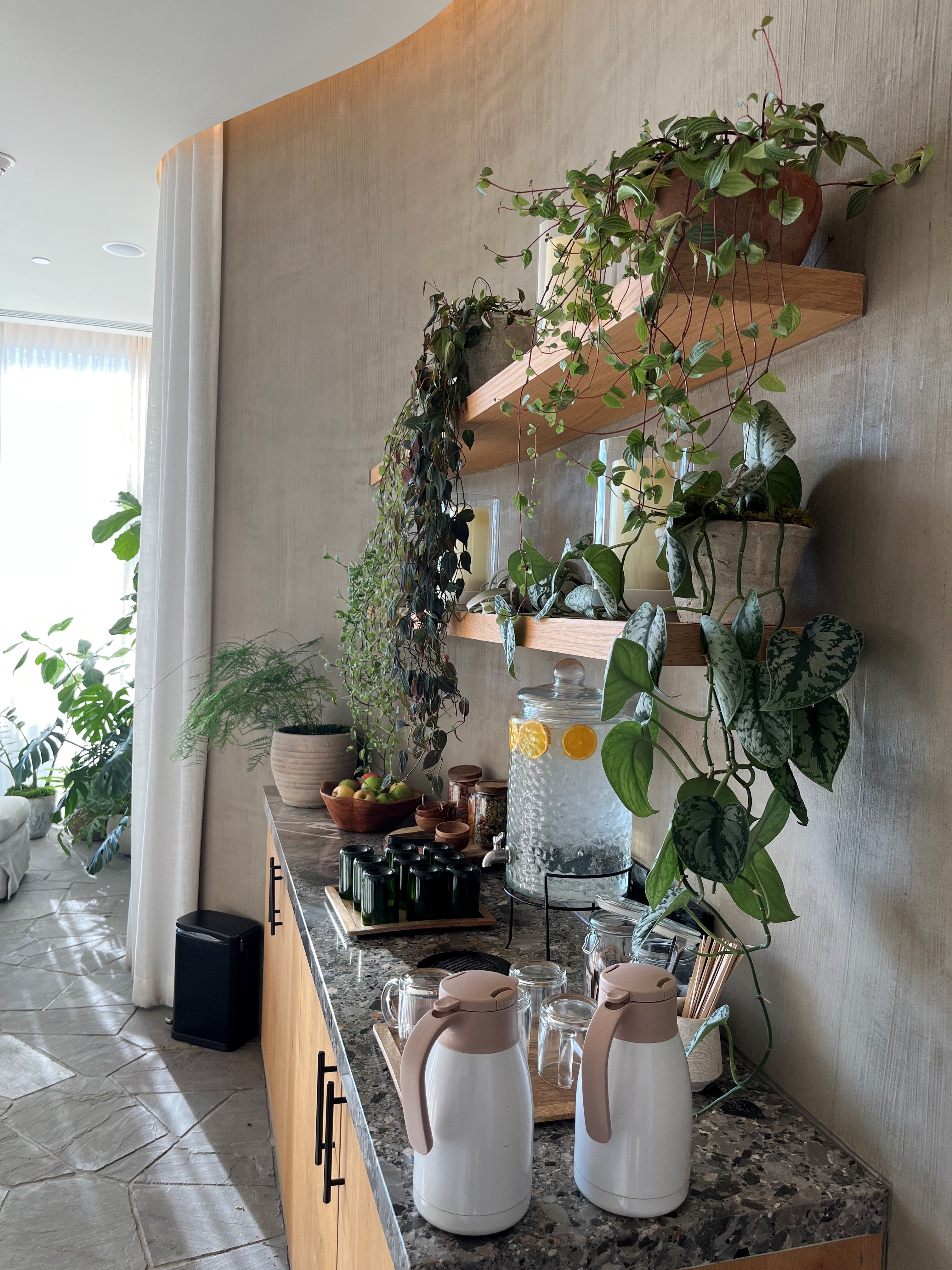 Sustainable botanical displays for corporate spaces, Eco-conscious hotel landscaping solutions